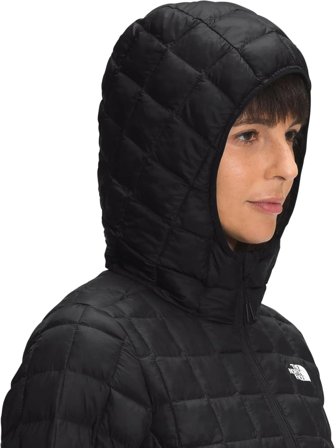 THE NORTH FACE Women's ThermoBall Eco Parka (Standard and Plus Size)